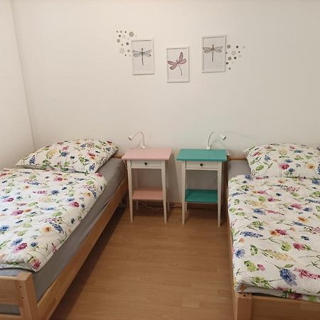 Grosse Ferienwohnung Am Waldrand 쇠나우 외부 사진