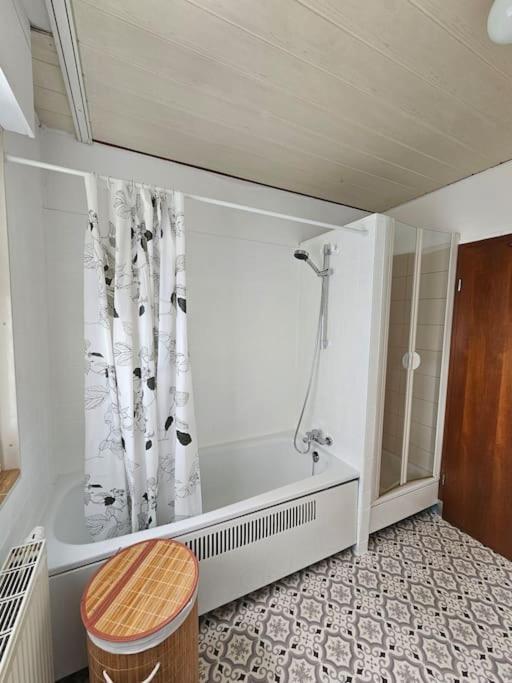 Grosse Ferienwohnung Am Waldrand 쇠나우 외부 사진