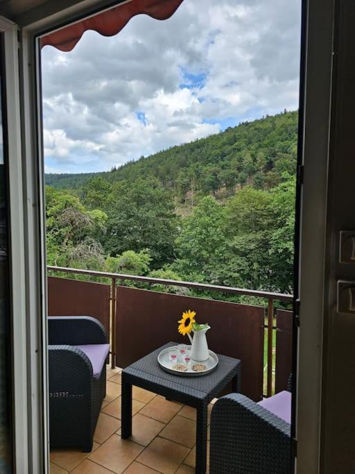 Grosse Ferienwohnung Am Waldrand 쇠나우 외부 사진
