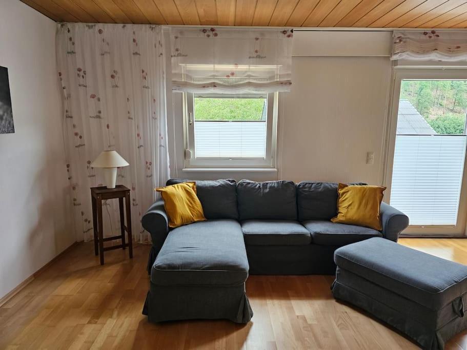 Grosse Ferienwohnung Am Waldrand 쇠나우 외부 사진