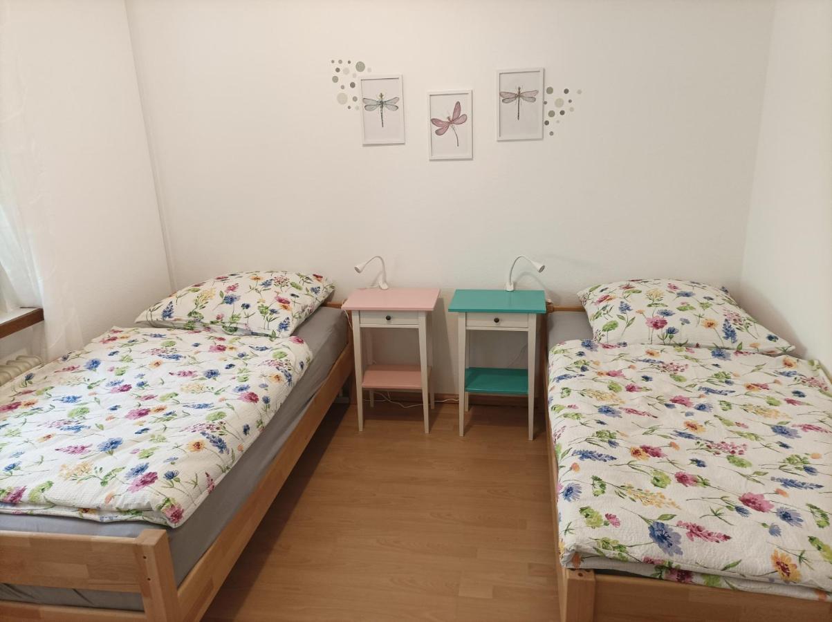 Grosse Ferienwohnung Am Waldrand 쇠나우 외부 사진
