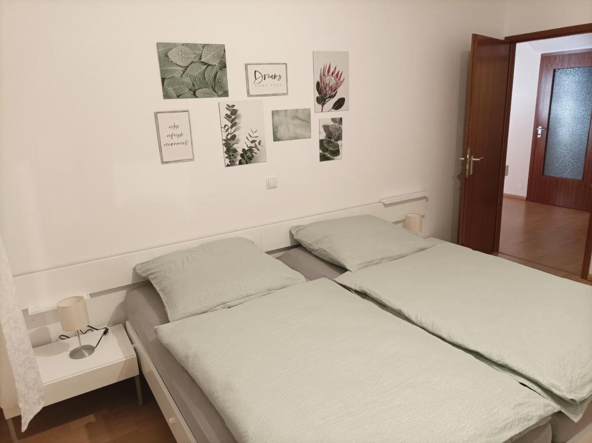 Grosse Ferienwohnung Am Waldrand 쇠나우 외부 사진