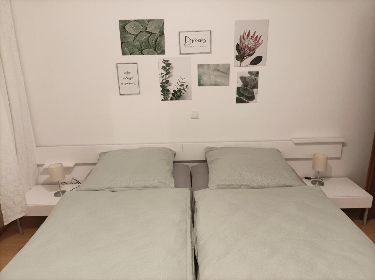 Grosse Ferienwohnung Am Waldrand 쇠나우 외부 사진