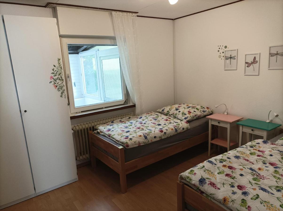 Grosse Ferienwohnung Am Waldrand 쇠나우 외부 사진